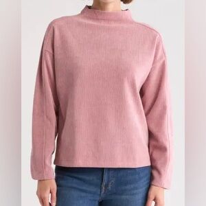 Madewell •‎ Jacquard Stripe Funnel Neck Top in Woodrose